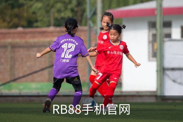 RB88手机官网公司介绍图